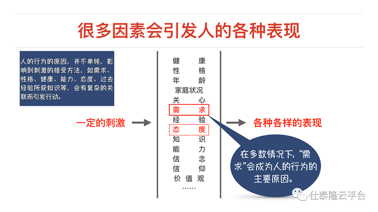 波肖门尾官网